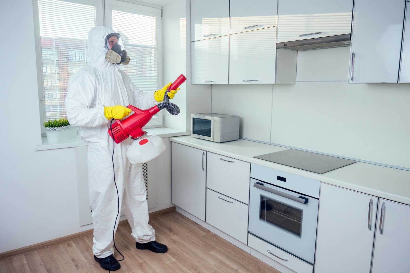 Worker spraying pesticide on induction hob.